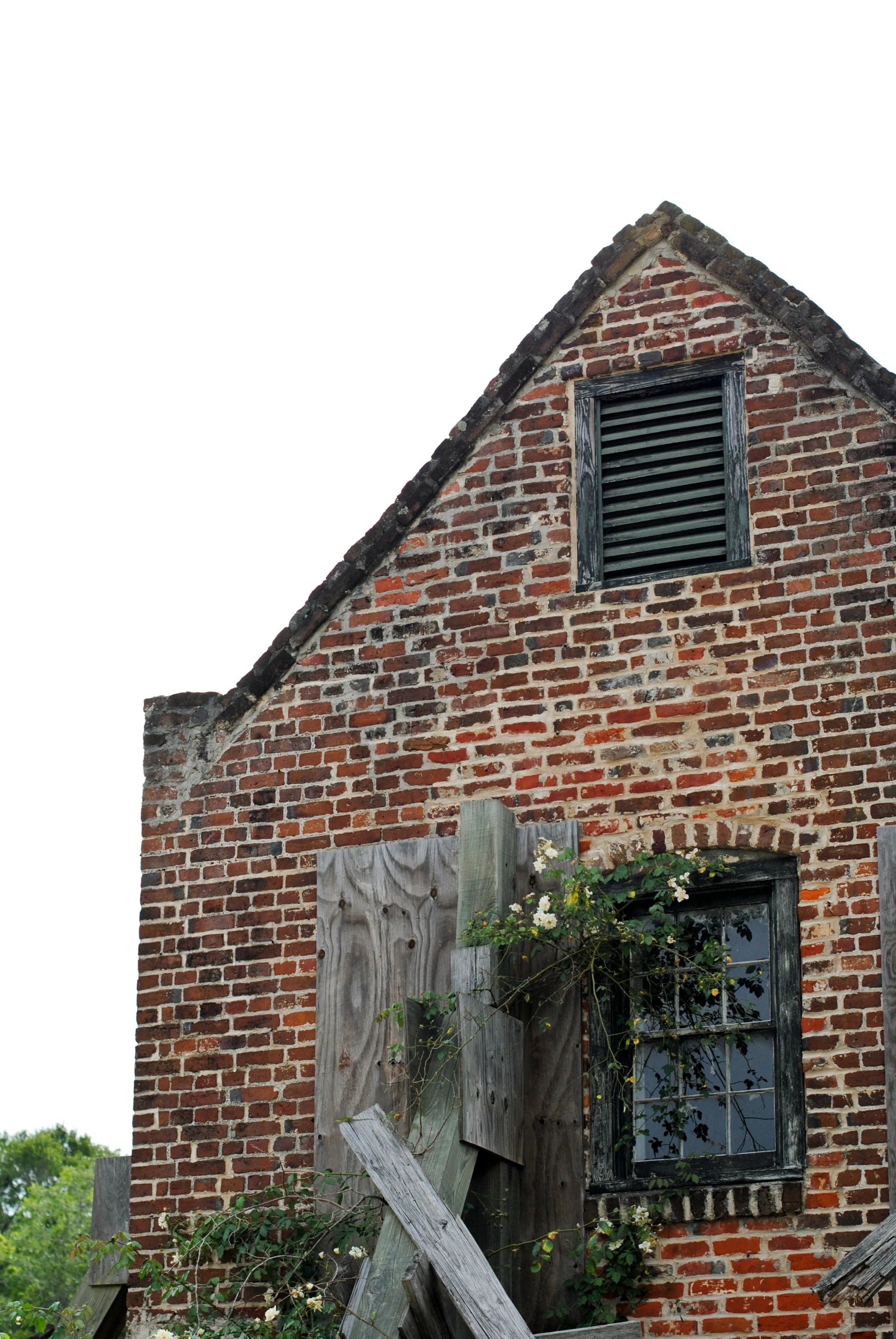 an old building with shutters and flowers growing out of it