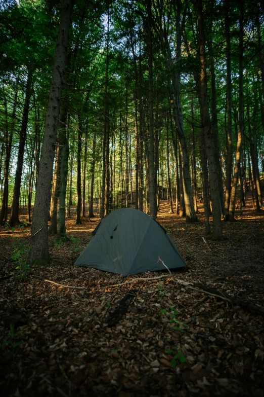 a small tent pitched up in the middle of the forest
