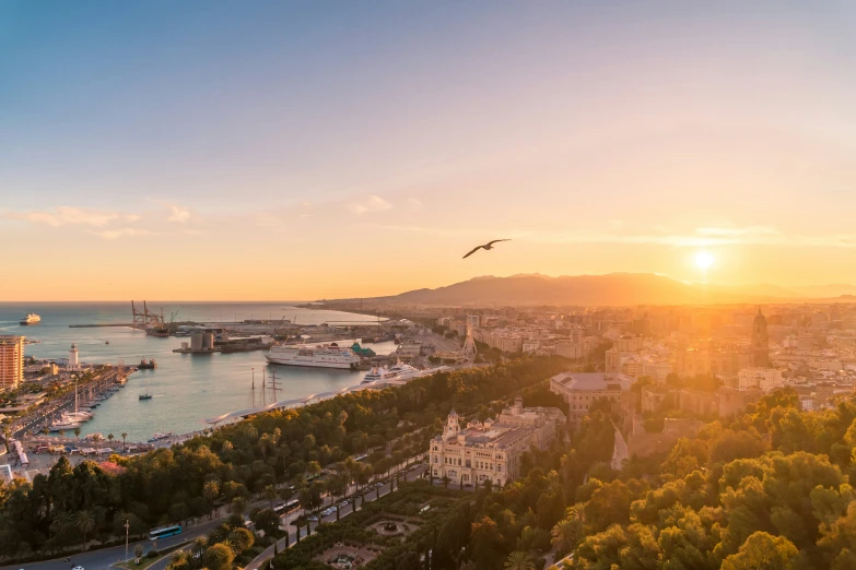 a bird flying over a small city and a river