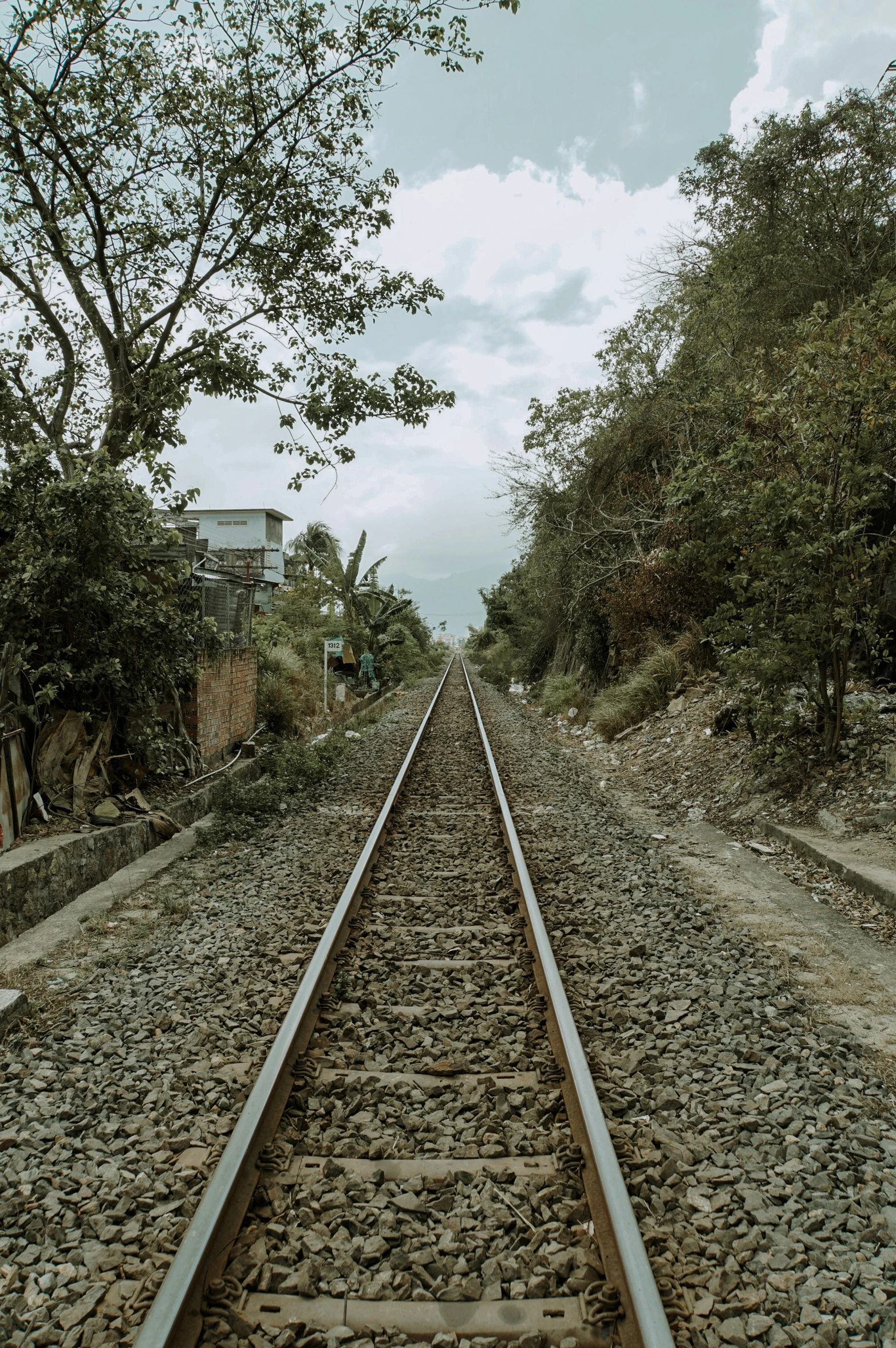 a train track going through a forest with a tree next to it