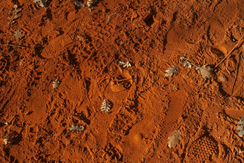 the sand is orange with small dots on it