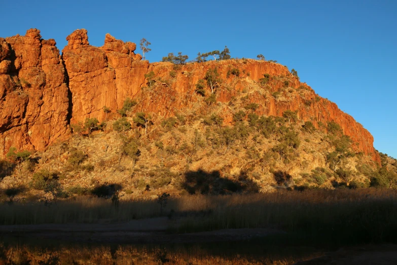 a mountain with tall, thin shrubs and a body of water