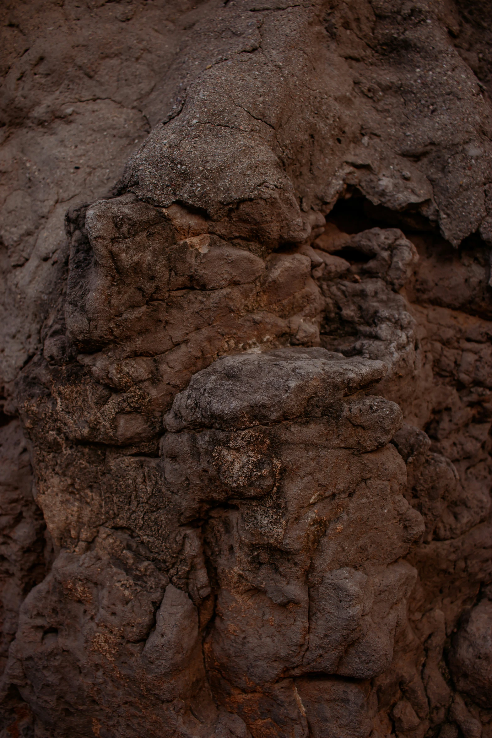 a bird stands on a rocky area next to rocks