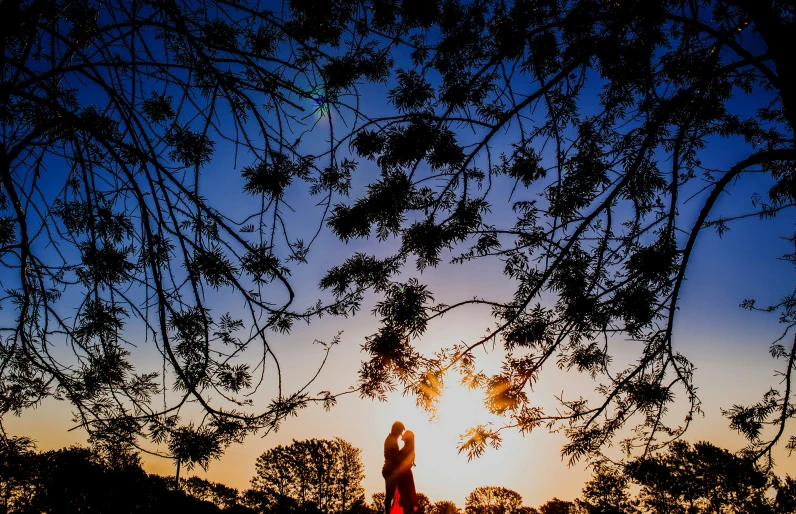 the silhouette of a man and woman with trees in the background