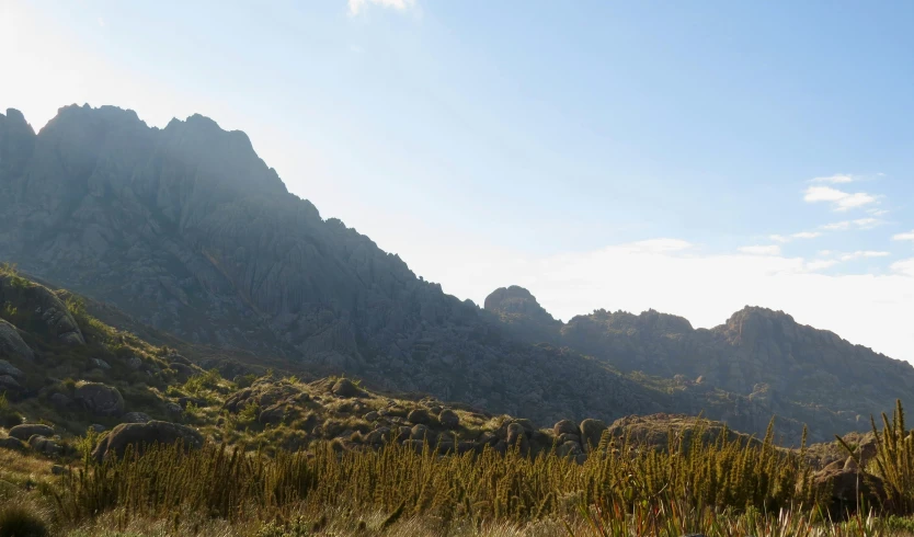 mountain with plants and grass near by