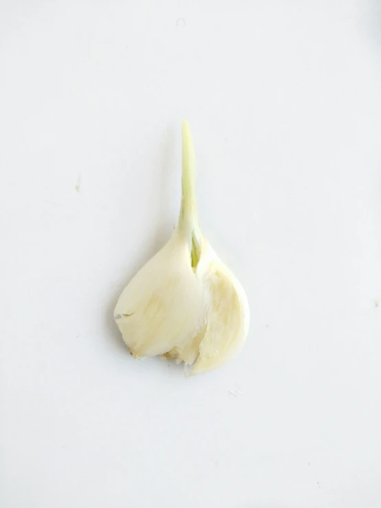 a large peeled vegetable sitting on top of a counter