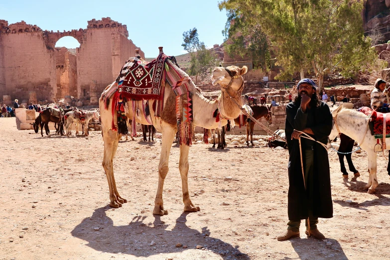 a man standing in front of a camel and some buildings