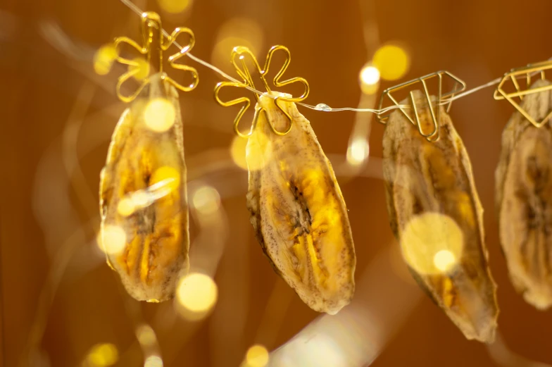 an array of bananas hanging from a clothes line