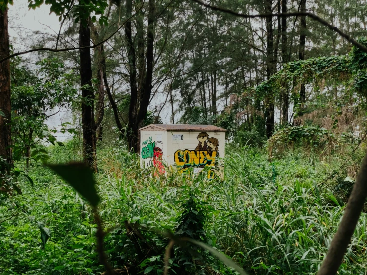 an outhouse sitting in the middle of a wooded area