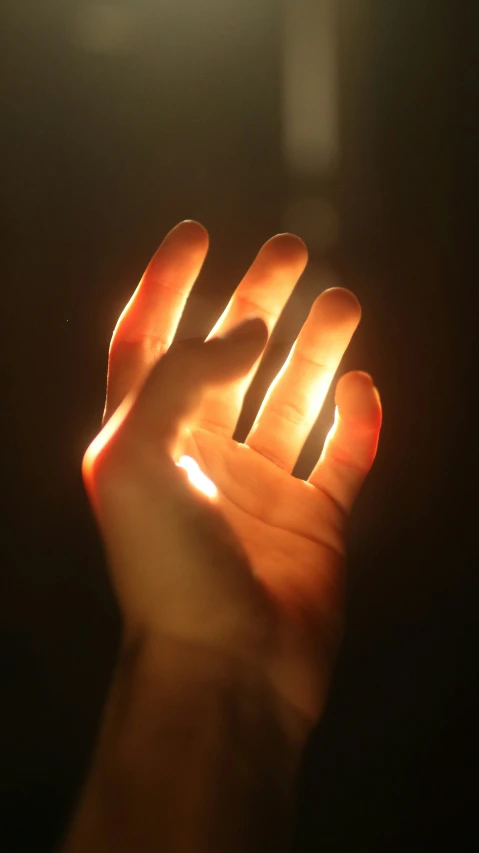 someone holding their hand up to a light