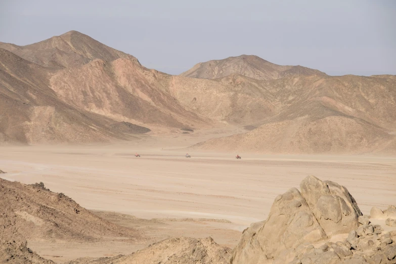 a herd of elephants standing on top of a desert