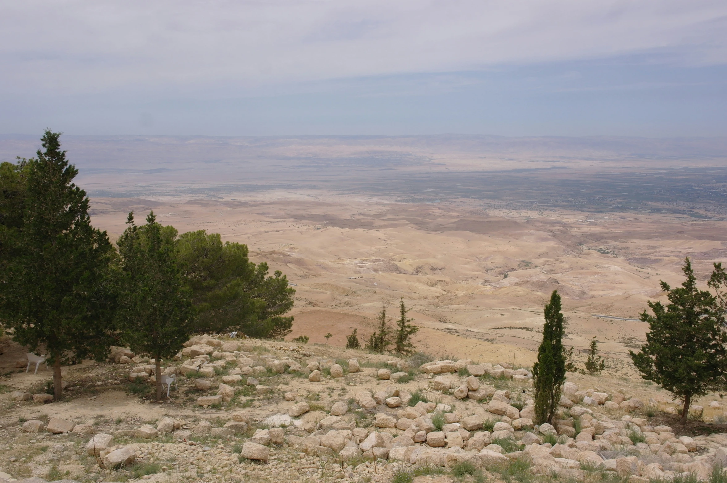 trees in the foreground and dirt in the background