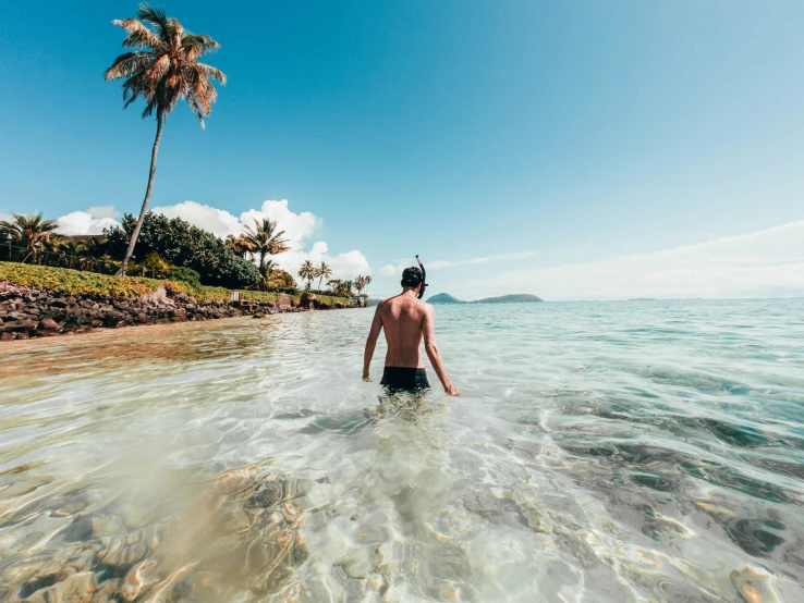 a man standing in the ocean with palm trees
