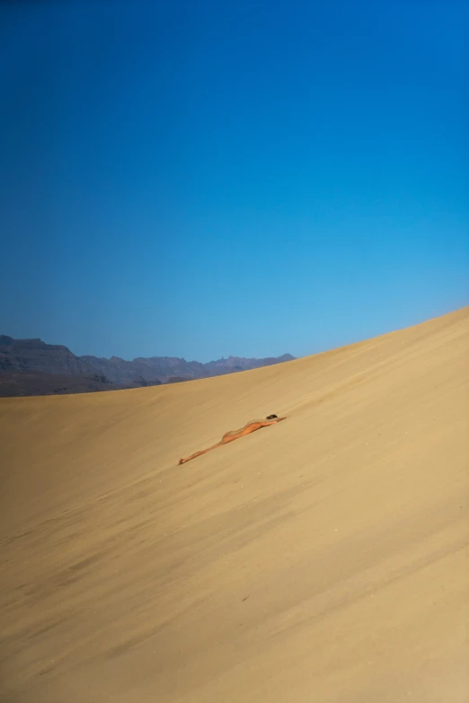 a lone bird sits in the middle of a desert