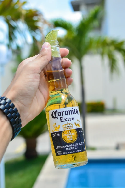 someone is holding a corona extra beer near a swimming pool