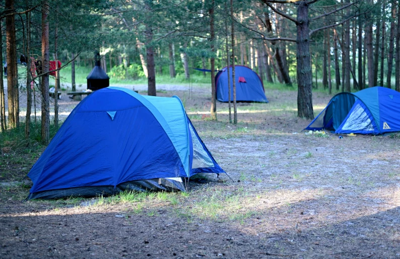 several blue tents are outside near some trees