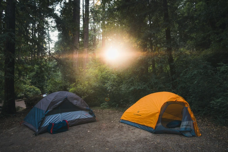 two tents are sitting outside in a forest