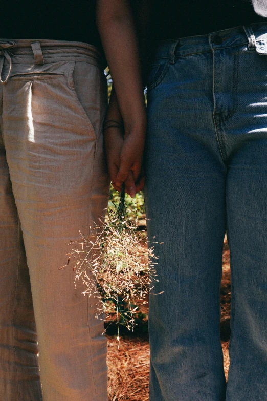 people holding hands over a plant in the dirt