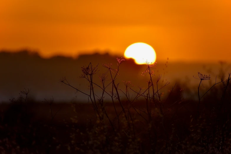 a po of a very bright sun on the horizon