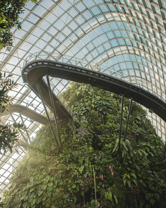 an indoor walkway next to a lush green rainforest