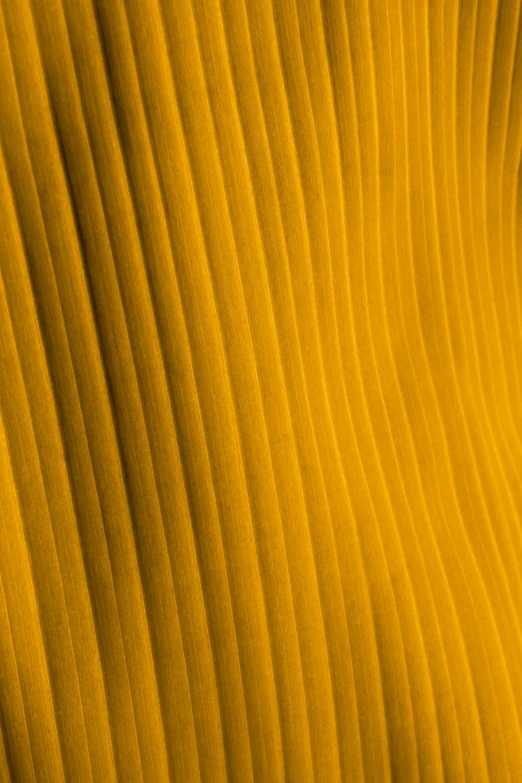 a yellow texture with lines and curves