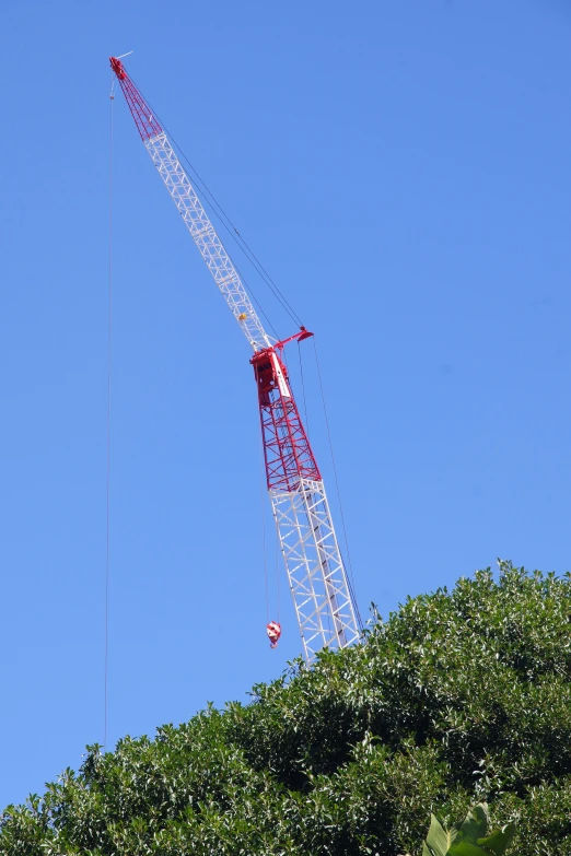 there is a crane in the air above some trees