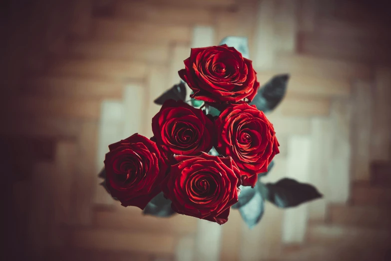 some red roses are lying on top of each other