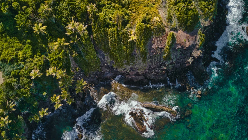 an aerial view of the coastline and shorelines of a tropical island