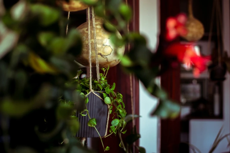 a vase and some greenery hanging from a chain