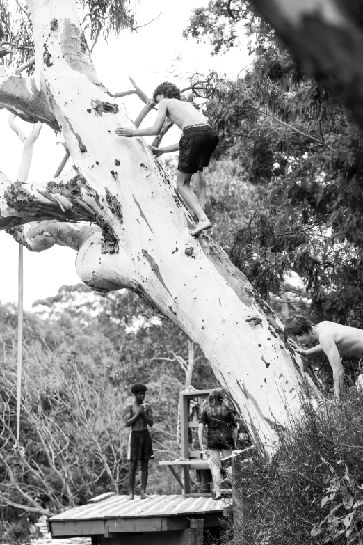 two people climb a tree together on a bridge