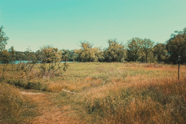 an old rusted sign sits in a field