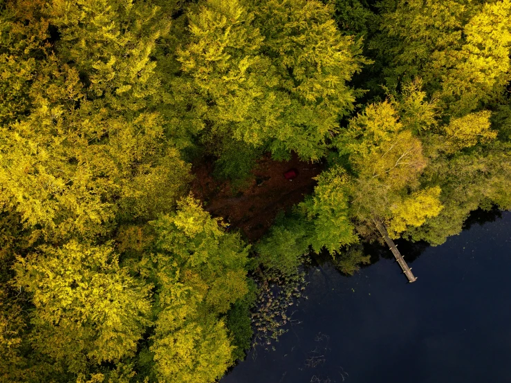 the aerial po shows a small lake surrounded by many trees