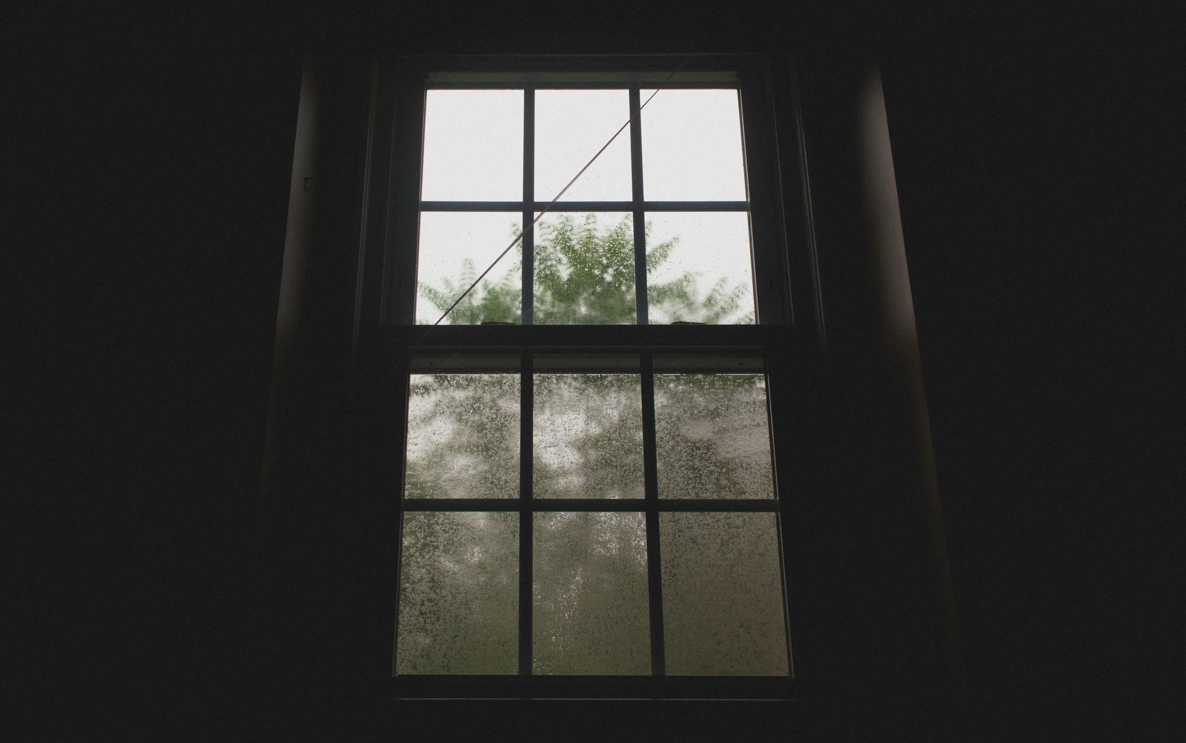 the window is open to show a foggy tree