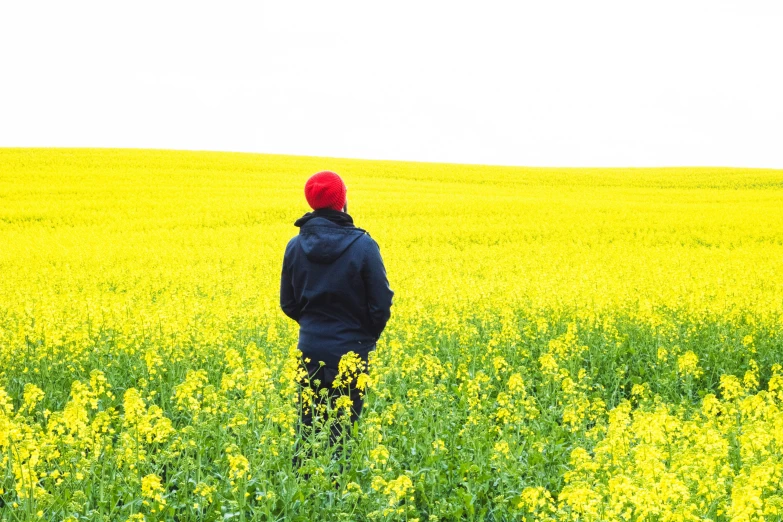 a person standing in a field of flowers