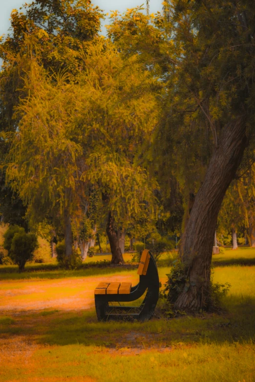 a bench in a park under an old tree