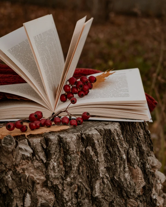 an open book and two other books sitting on top of a tree stump