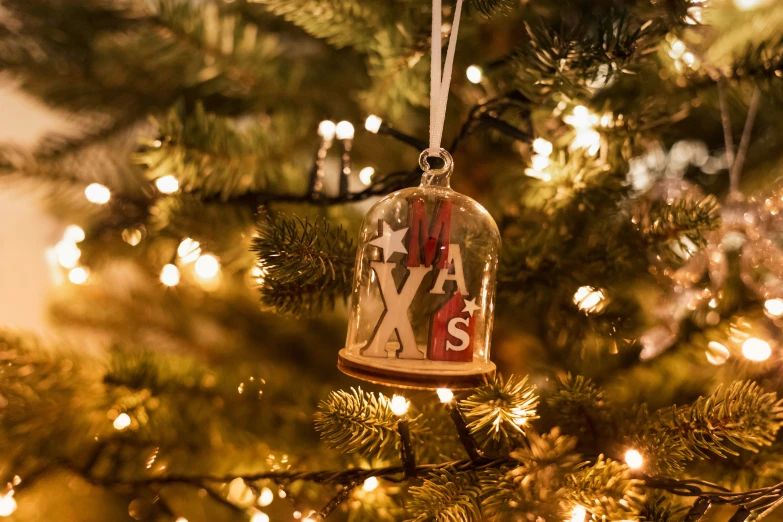 a glass bell sitting on top of a tree