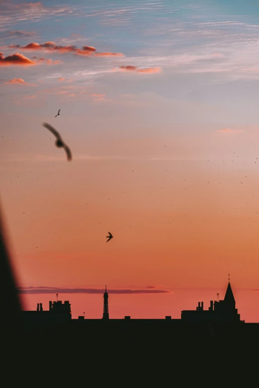 a bird flying by a building at sunset