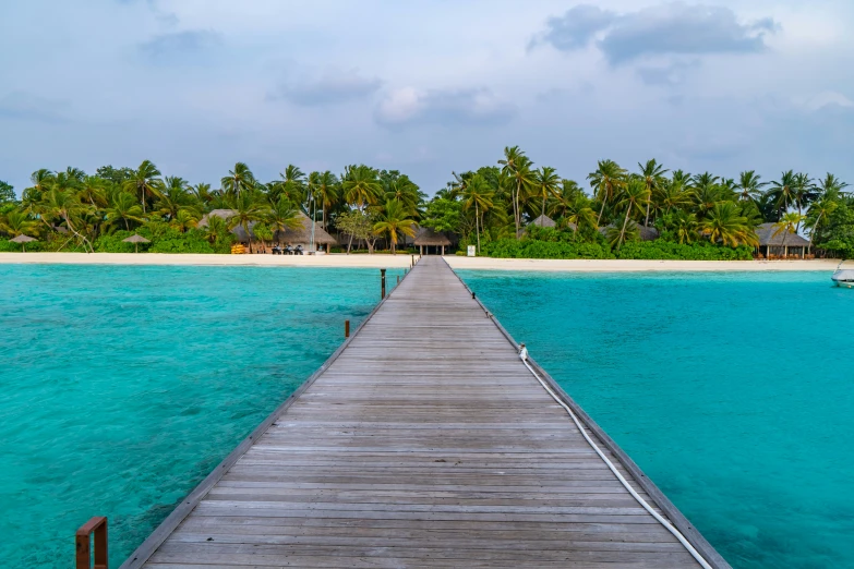 an island with coconut trees and boats in the water