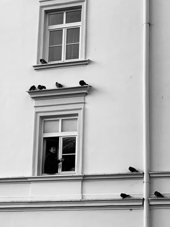 a couple of birds that are standing by the window