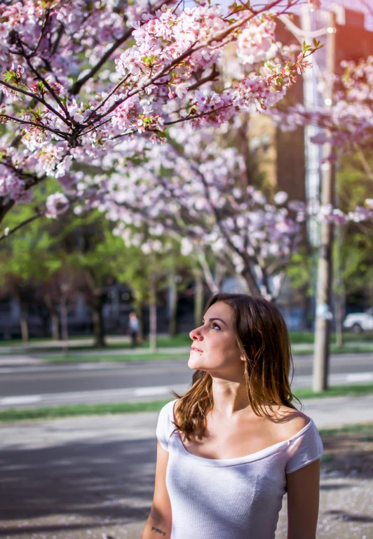 a girl standing under pink blossoms looking up