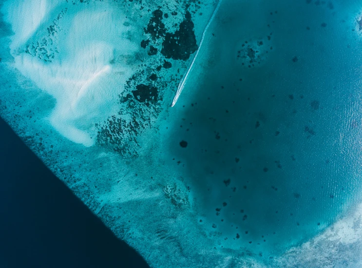 a clear water po taken from above looking down on the beach