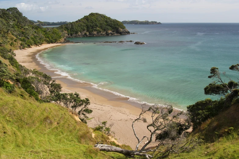 a sandy beach in front of a forested green hill