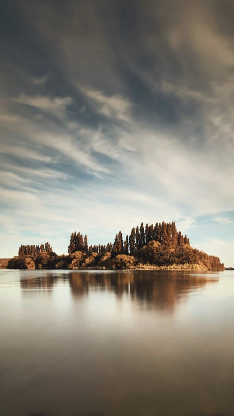 trees with leaves in the fall on a lake