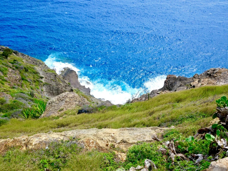 a view from the side of a hill, with a blue sea behind it