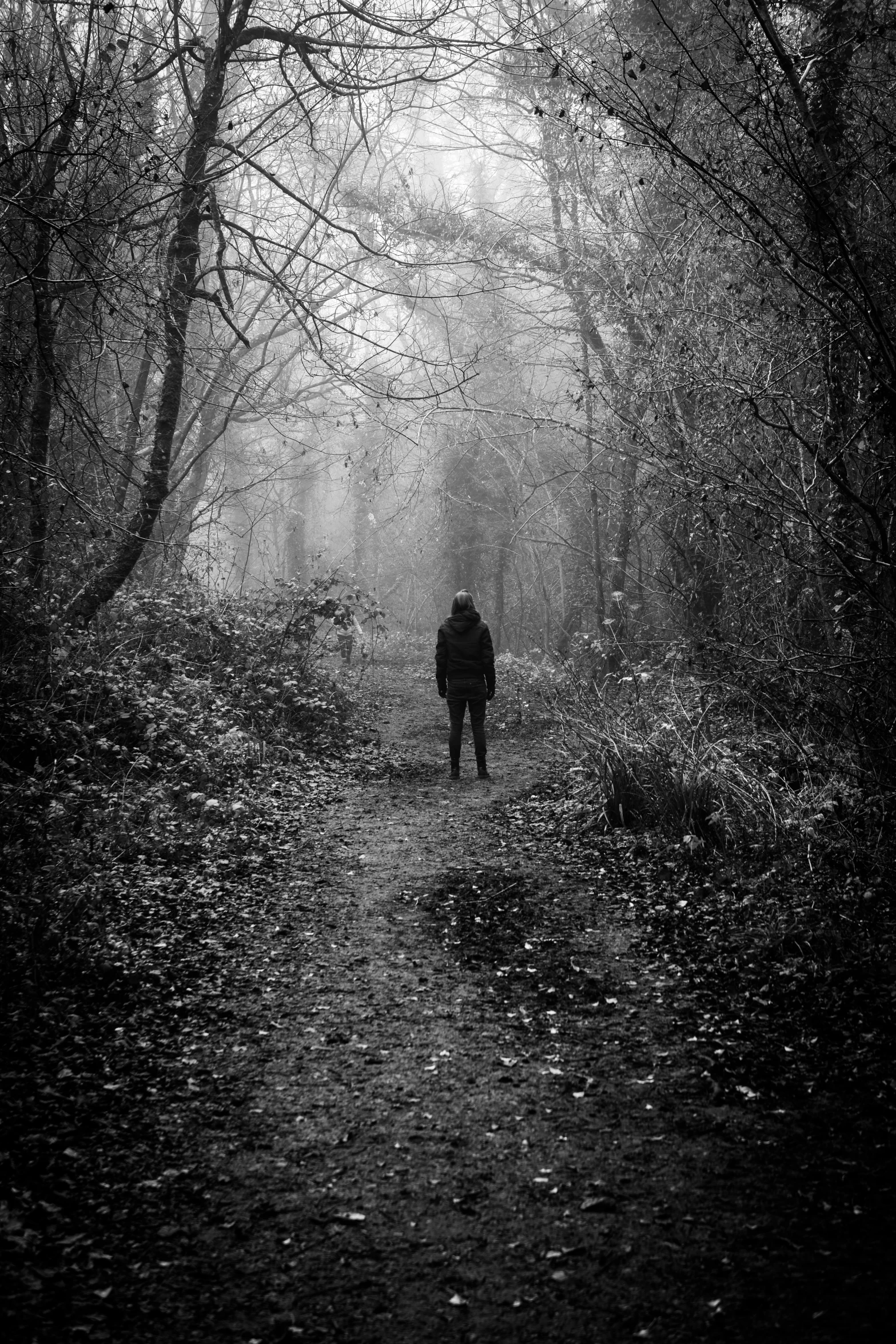 a man walking on a path through a forest