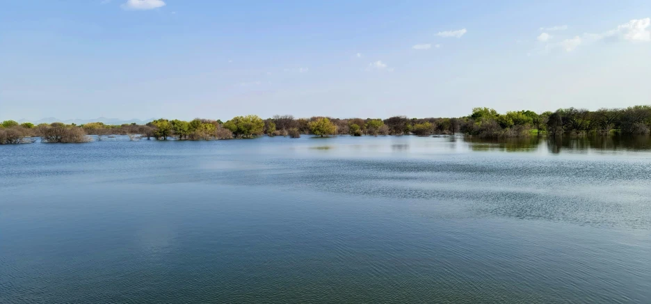 there is a water way that appears to be filled with little fish