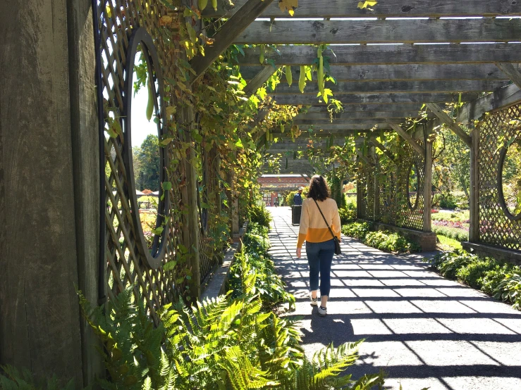 woman walking down a paved pathway between tall trees