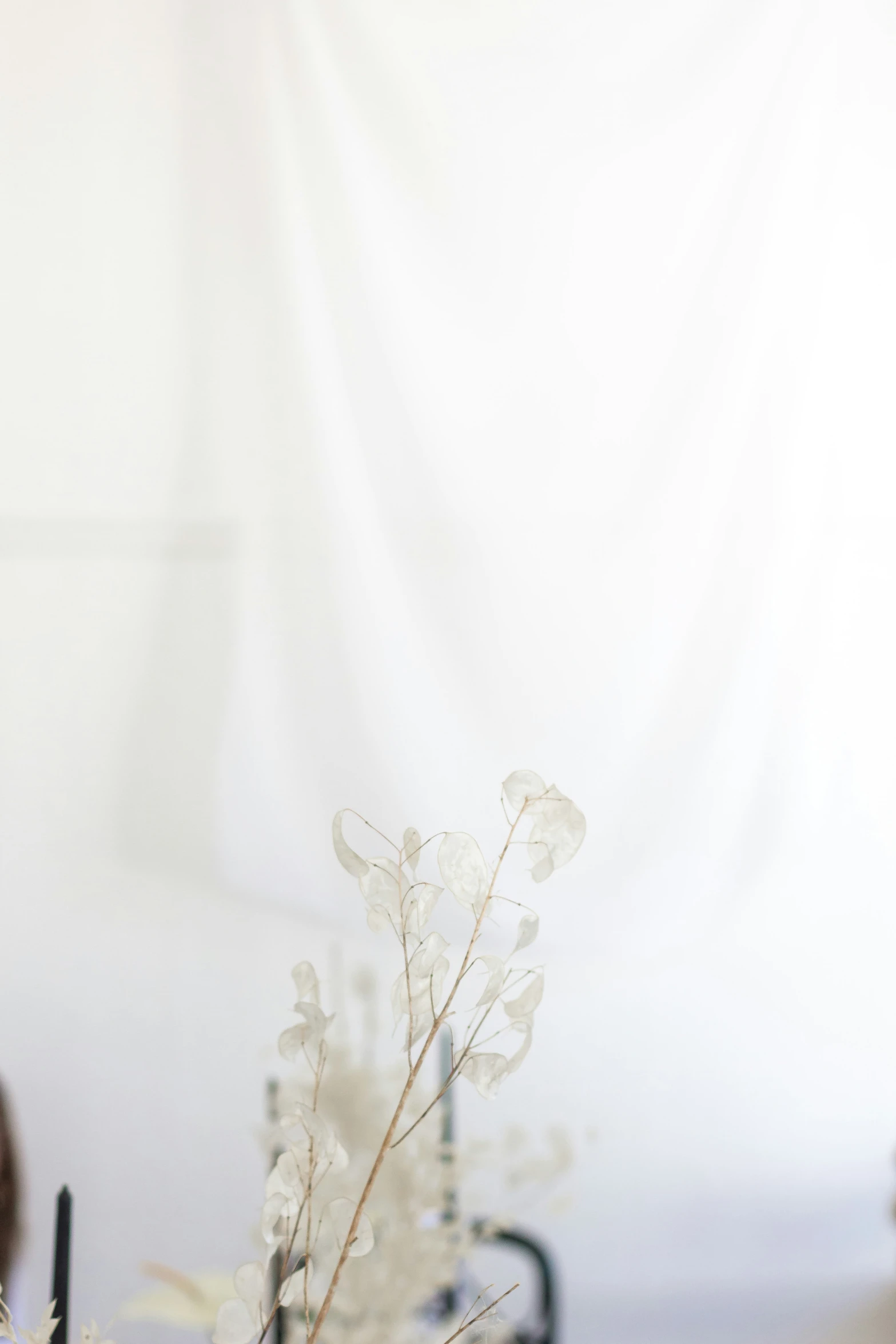 a white vase filled with flowers in front of a white curtain