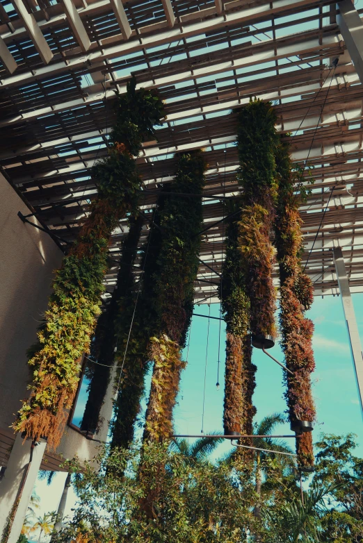 several plants on a large structure, hanging from wires